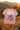 The T-shirt of Mother's Love