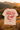 The T-shirt of Mother's Love